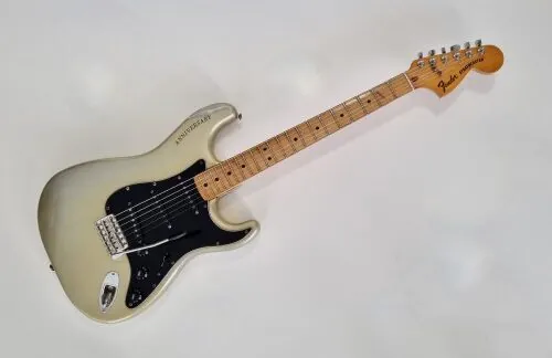 Fender Stratocaster 25th Anniversary 1979 Silver Metallic - Image 1