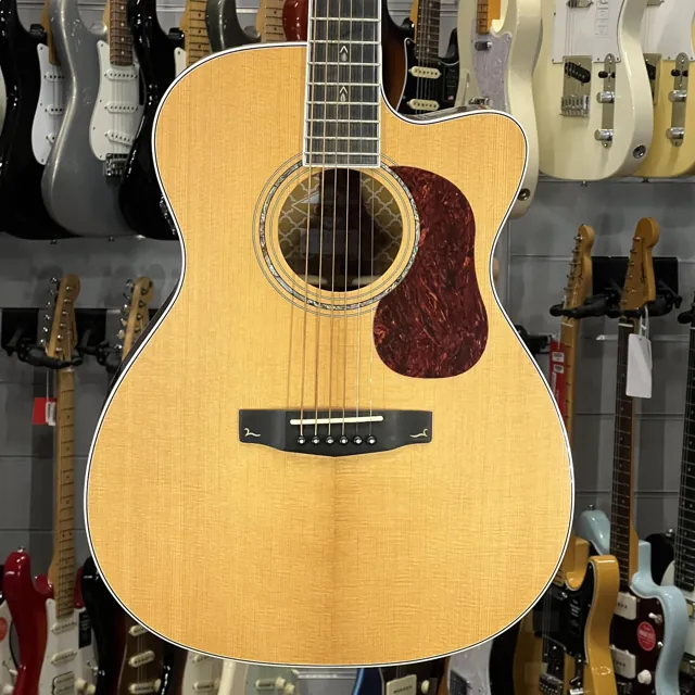 Cort Gold Oc8 Natural Gloss - Image 1