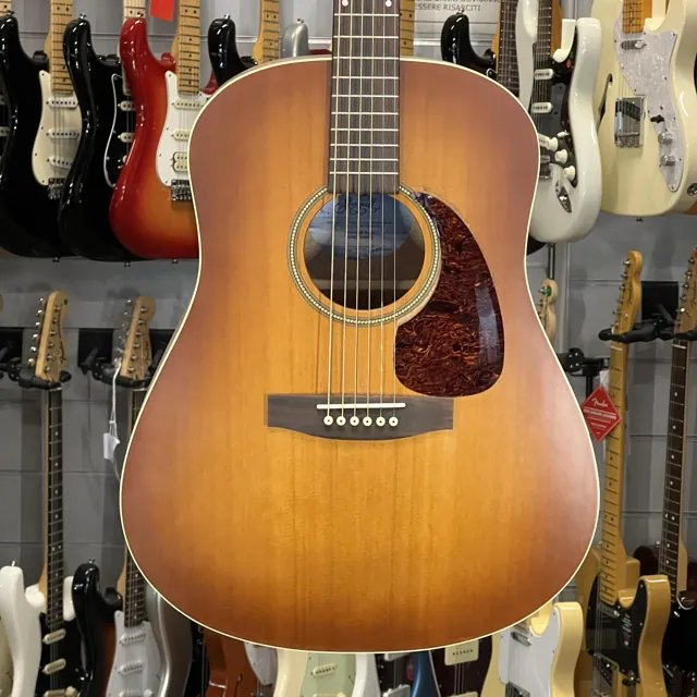 Seagull Entourage Rustic - Image 1