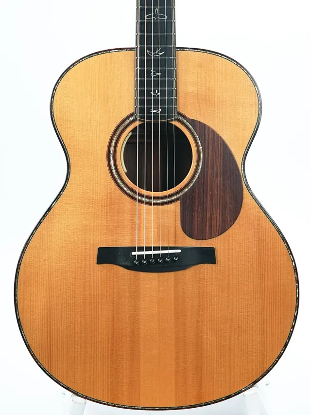 PRS Tonare Grand Cocobolo Adirondack 2011 - Image 1