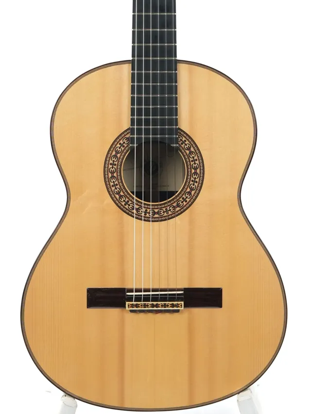 Dirk Janssen D30 Magma Concert Brazilian Rosewood 2014 - Image 1