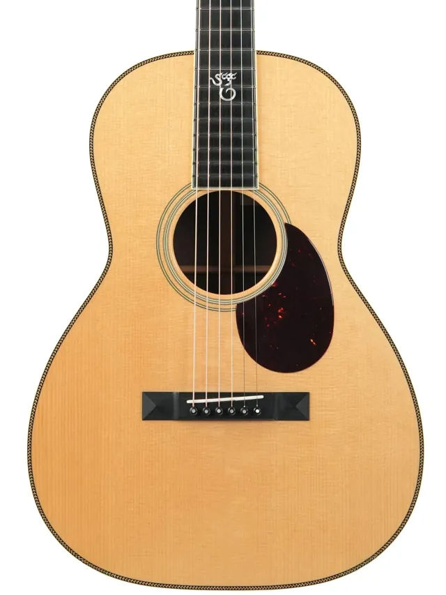 Santa Cruz OO Eric Skye Cocobolo Adirondack Spruce 2019 - Image 1