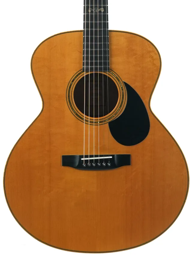 Stevens J-A Bearclaw Spruce Flamed Maple 2001
