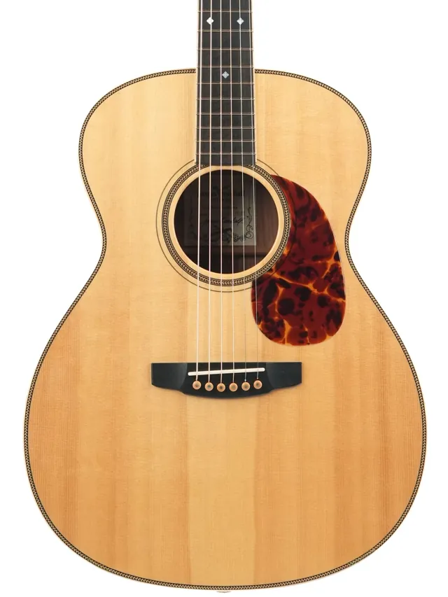 Goodall Traditional OM Palo Escrito Master German Spruce 2023 - Image 1