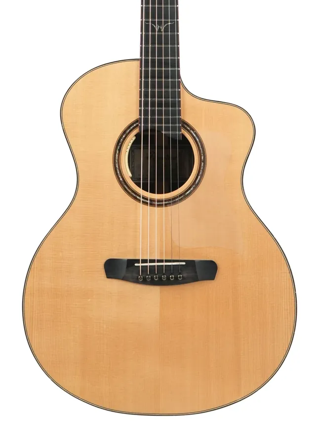 Dowina Master Series GAC Wenge Spruce 2017 - Image 1
