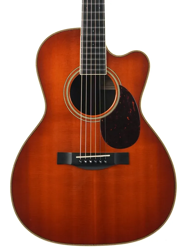 Santa Cruz H Cutaway Custom AAA Sitka Rosewood Winter Namm 2009 - Image 1
