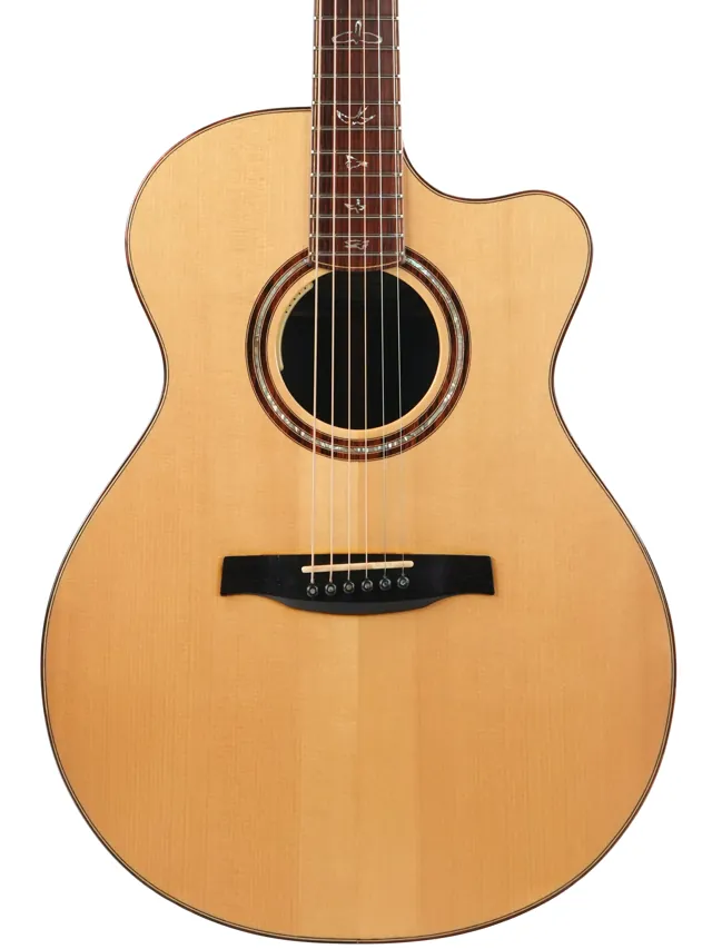 PRS Angelus Cutaway Cocobolo Adirondack Spruce 2011 - Image 1