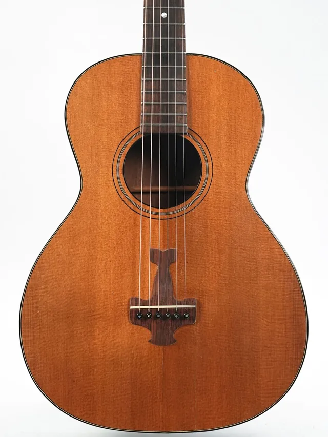 Harmony Roy Smeck Grand Concert Hawaiian Guitar Spruce Cuban Mahogany 1930 - Image 1