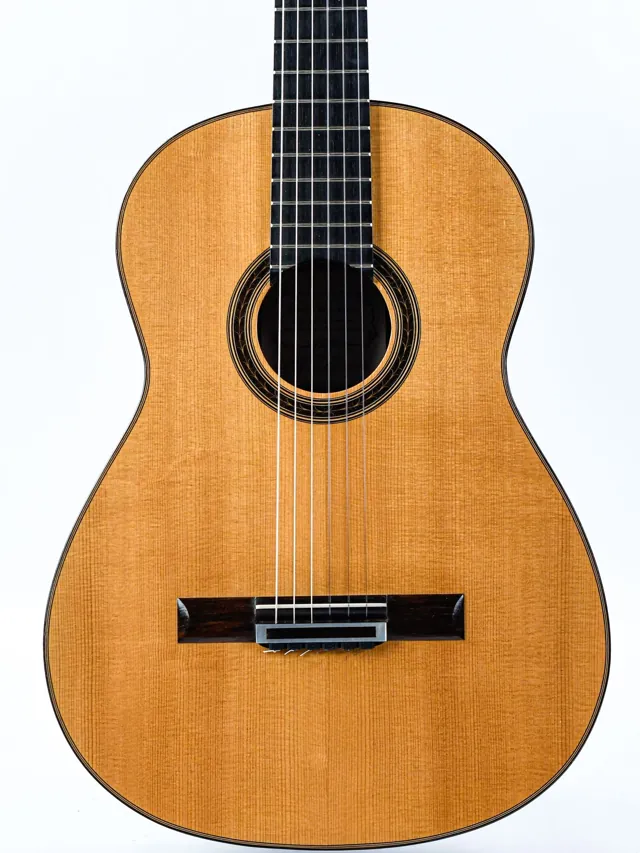Antonio Raya Pardo Concert Spruce Rosewood 1997 - Image 1