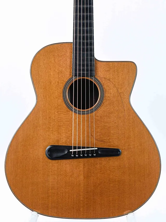Scharpach SKD Kasha Design Brazilian Rosewood Cedar ex-Steve Howe 2017 - Image 1