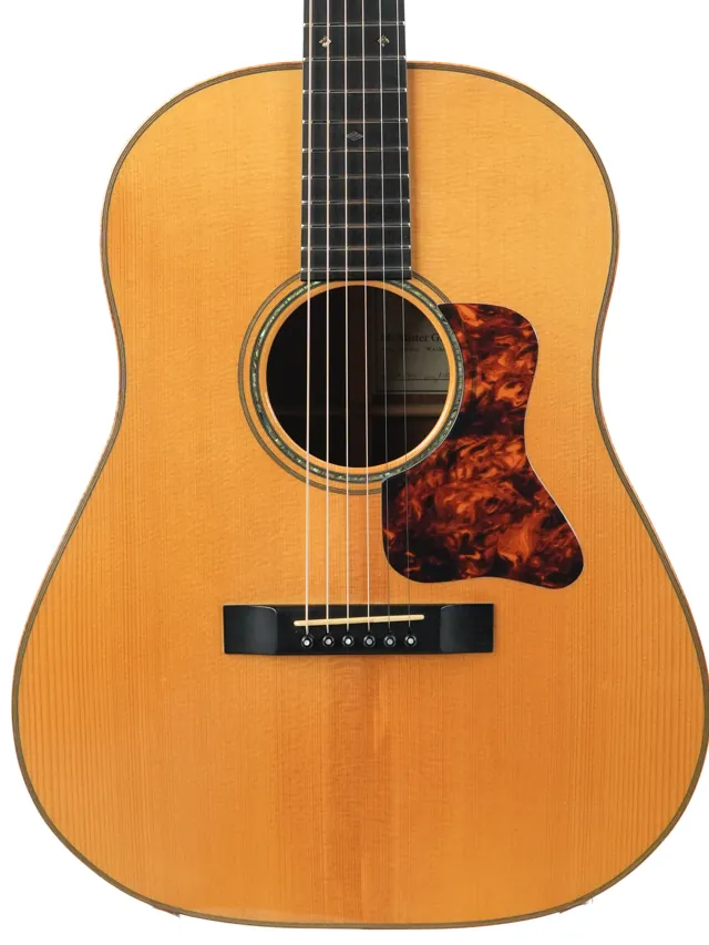 McAlister Guitars 12-Fret D Model 2007 - Image 1