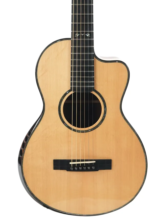 Kevin Ryan Abbey Cocobolo Bearclaw Sitka 2024 - Image 1