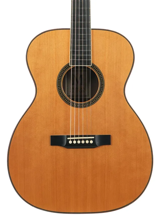 Morgan OM Aged Rosewood Spruce 1996 - Image 1