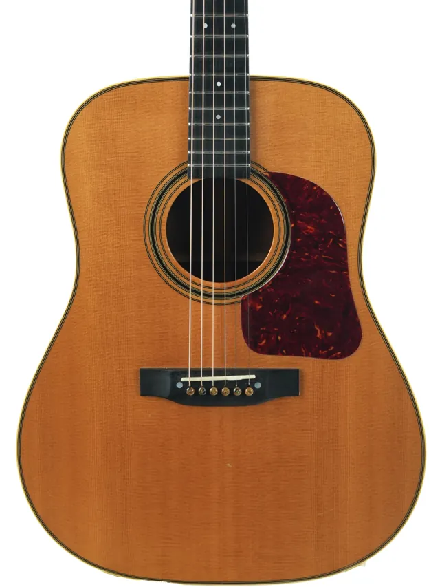 Gallagher G50 Mahogany Sitka Spruce 2008 - Image 1