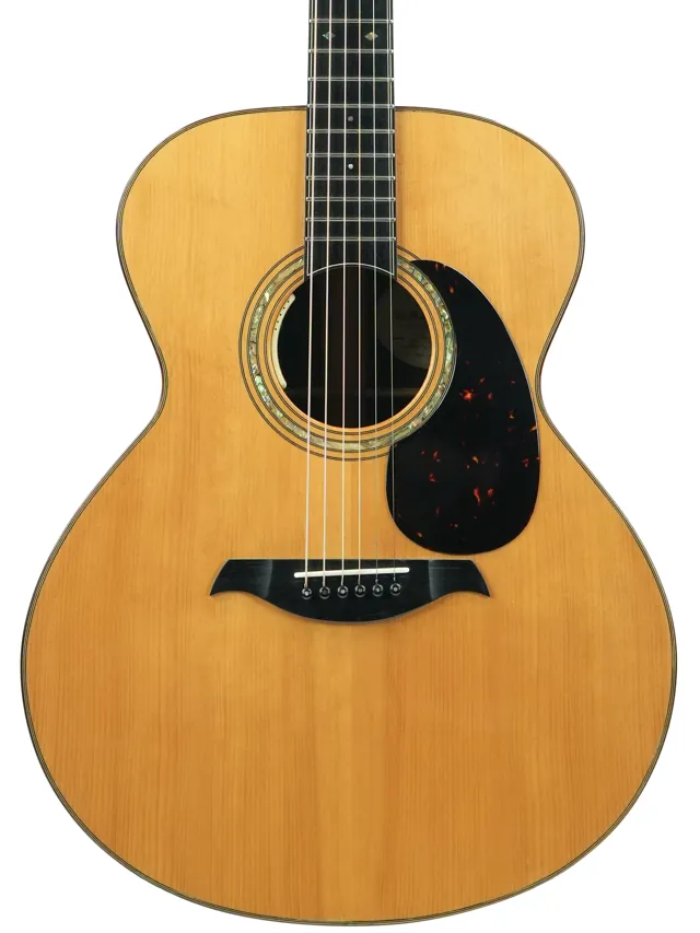 Waanders Grand Auditorium Cocobolo Adirondack 2011 - Image 1