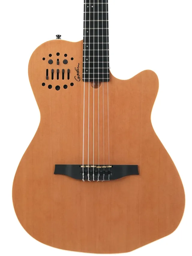 Godin ACS Nylon Slim NT Cedar 2021 - Image 1