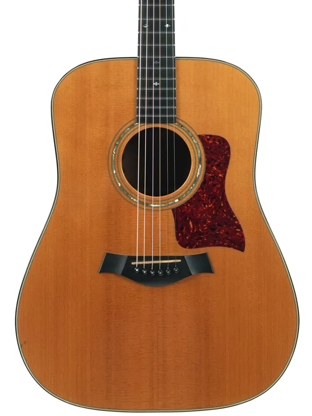 Taylor 510 Mahogany Spruce 1994 - Image 1
