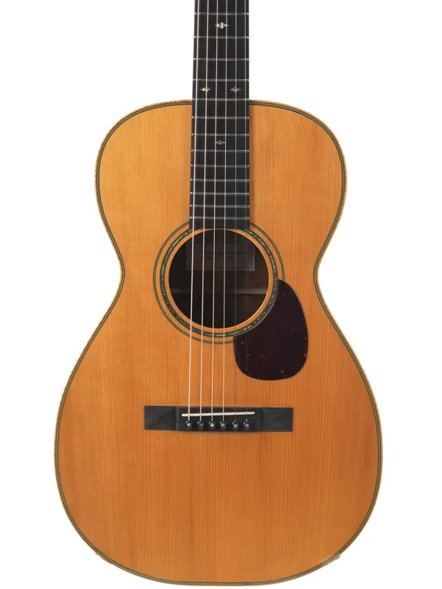 Froggy Bottom P12 Deluxe Fiddleback Honduran Mahogany Adirondack Spruce 2019 - Image 1