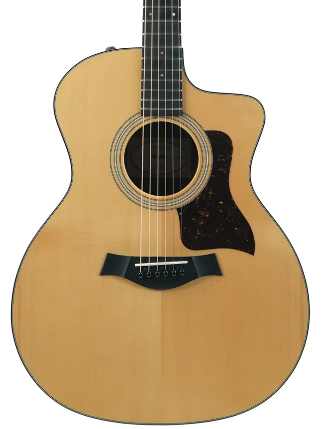 Taylor 214ce Plus 2023 - Image 1