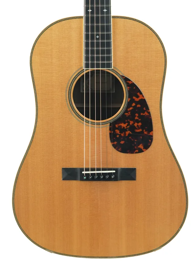 Larrivée SD60 Sitka Spruce Indian Rosewood Traditional Series 2005 - Image 1