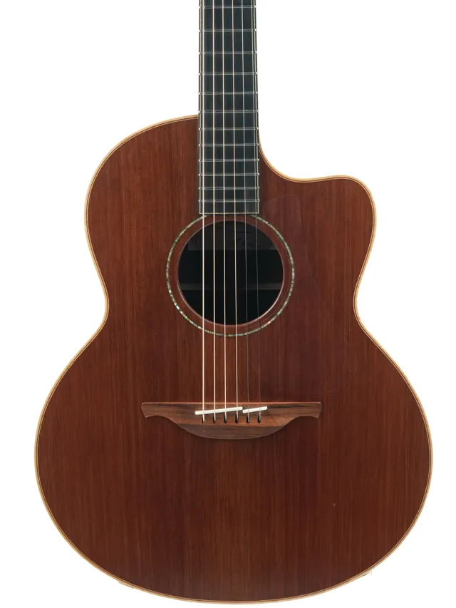 Lowden F35C Cocobolo Redwood 2014 - Image 1