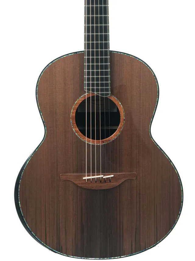 Lowden F50 African Blackwood Sinker Redwood 2020 - Image 1
