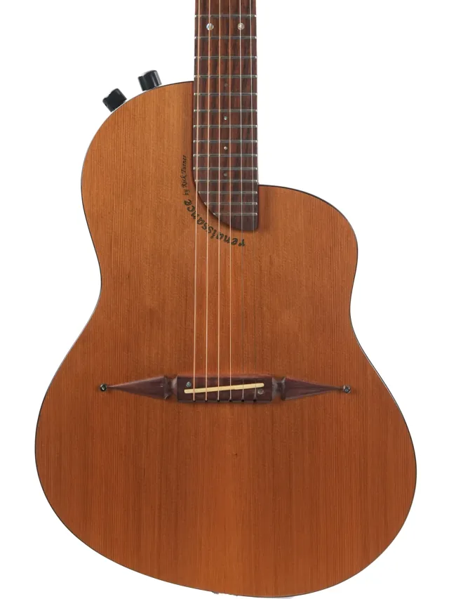 Rick Turner Renaissance Steel RS6 2009 #092662 - Image 1