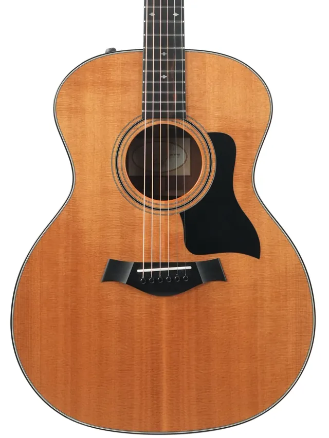 Taylor 314e 2017 - Image 1