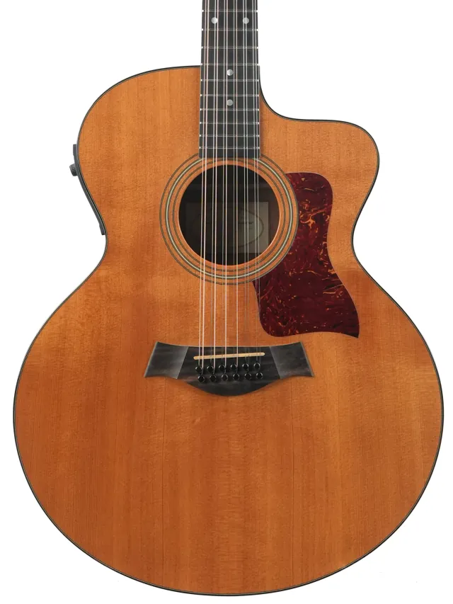 Taylor 355CE 12 String 2002 - Image 1