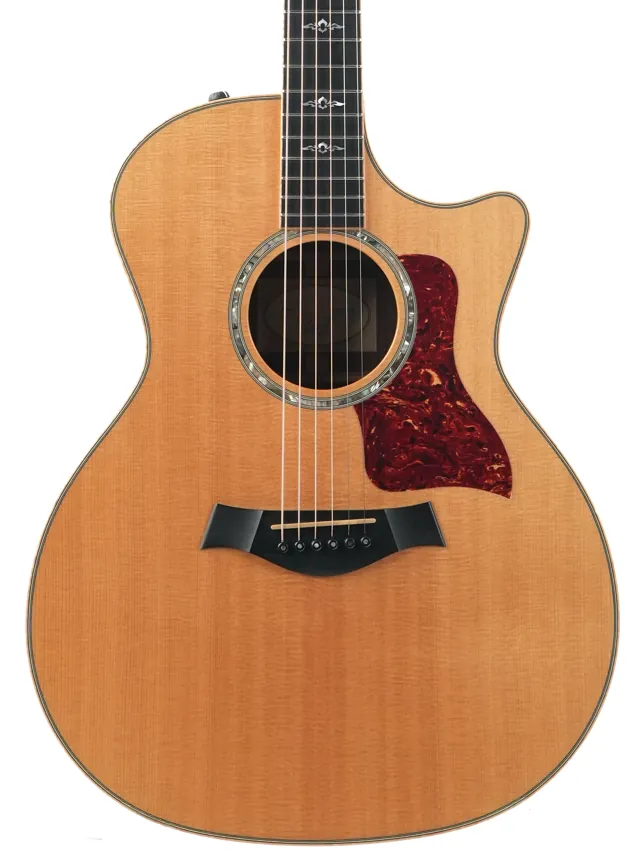 Taylor 814ce Rosewood Spruce 2013 - Image 1