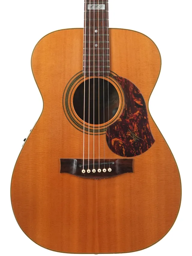 Maton EBG808TE Queensland Maple Spruce 2010 - Image 1