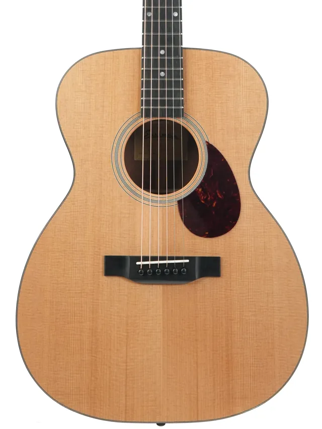 Eastman E1OM Orchestra Model 2026 - Image 1