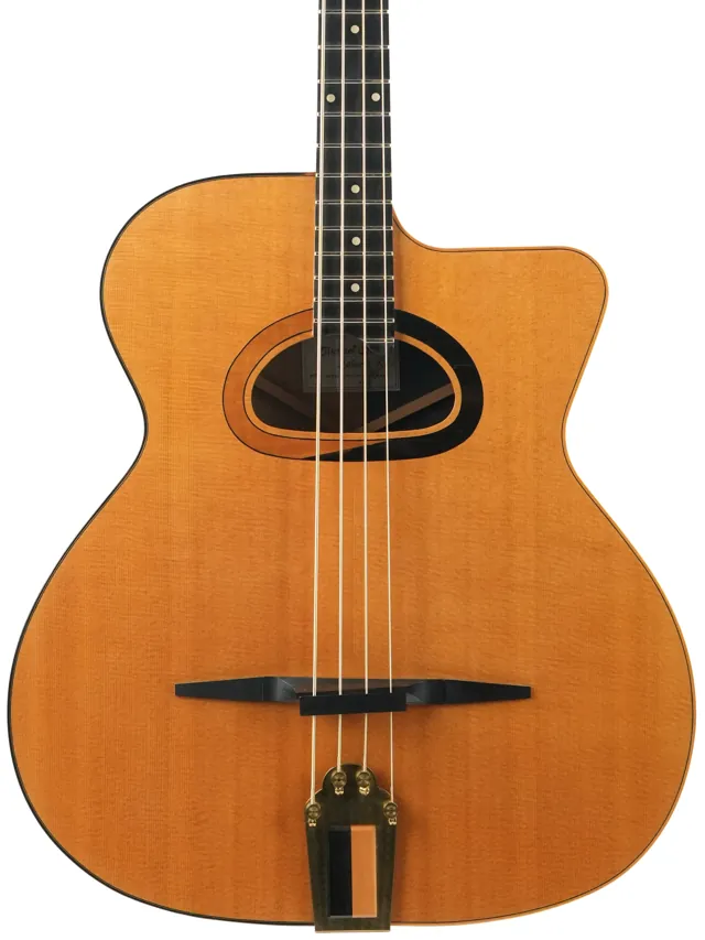 Michael Dunn Gypsy Bass Picasso 2005 - Image 1