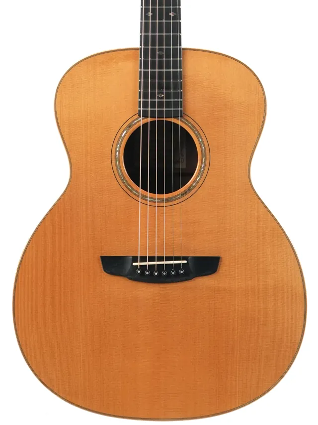 Goodall Concert Jumbo Walnut Spruce 2005 - Image 1